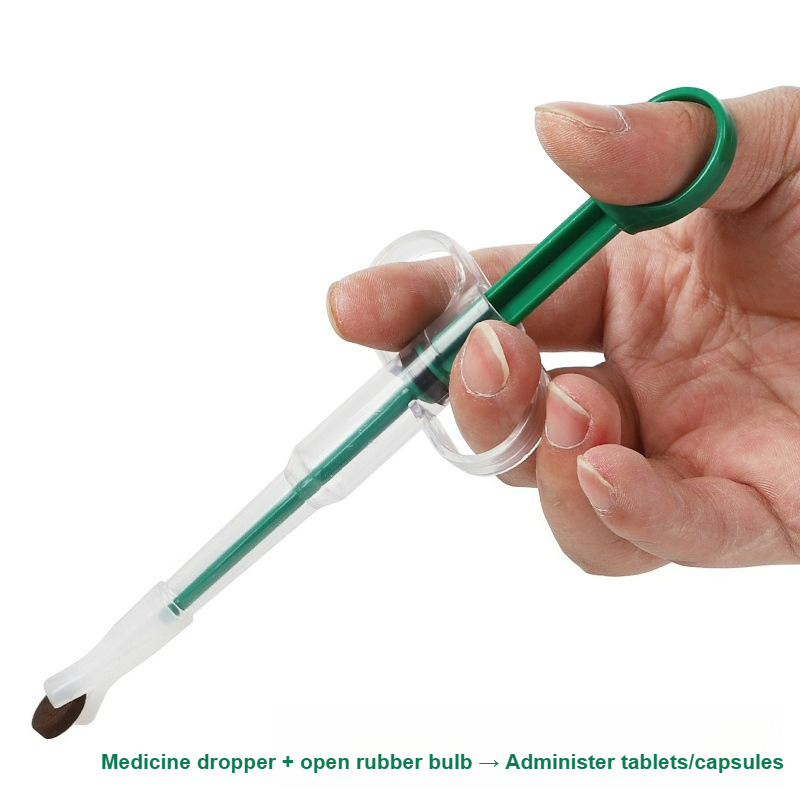 Pet Pill Gun，Pet Medicine Feed - огляд і ціна Food Storage How To